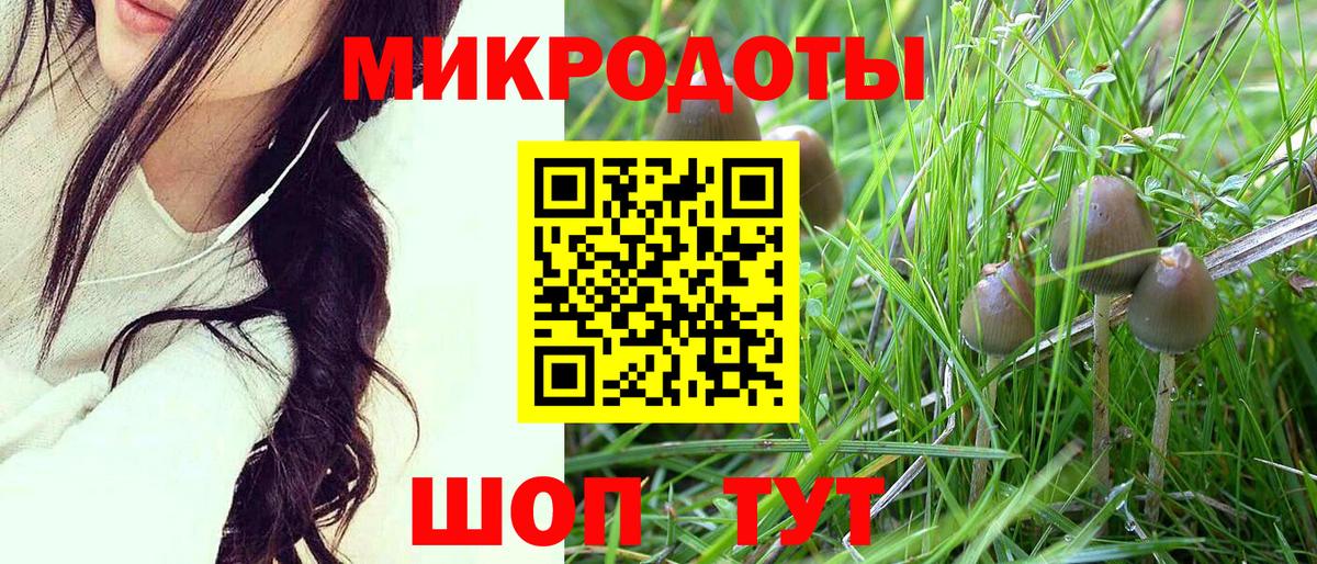 хочу   Вход с VPN  Серов  Псилоцибиновые грибы Cubensis 