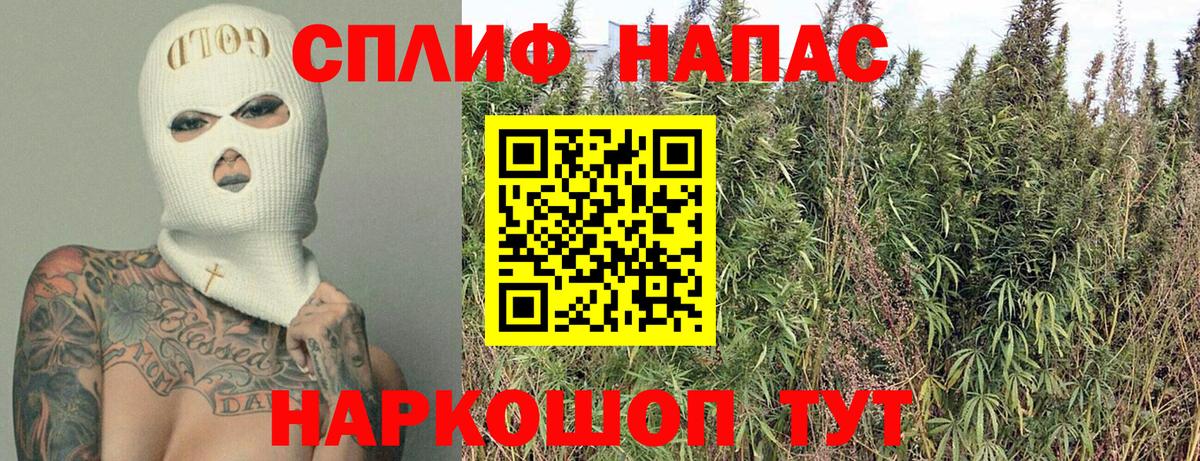 Бошки марихуана тримм  Вход с VPN  Серов  Шишки марихуана марихуана  Марихуана THC 21% 